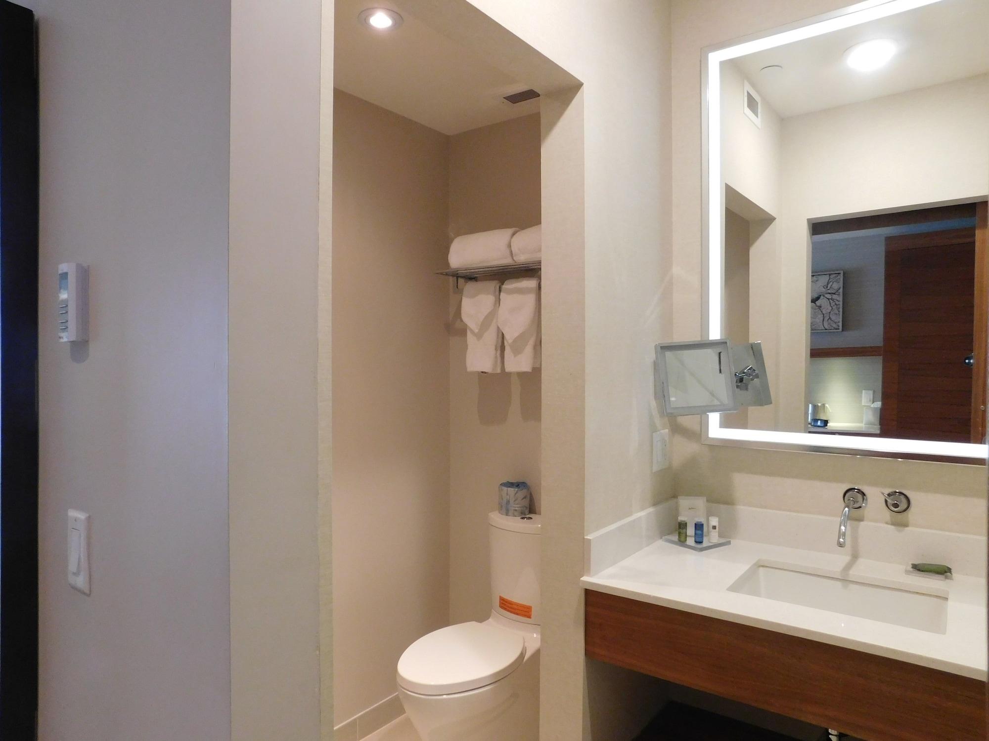 Hotel Radisson & Conference Centre Airport 4*